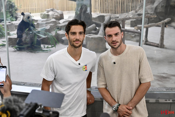 的快速反击 的快速反击